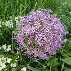 Meet your Posher, Kaye